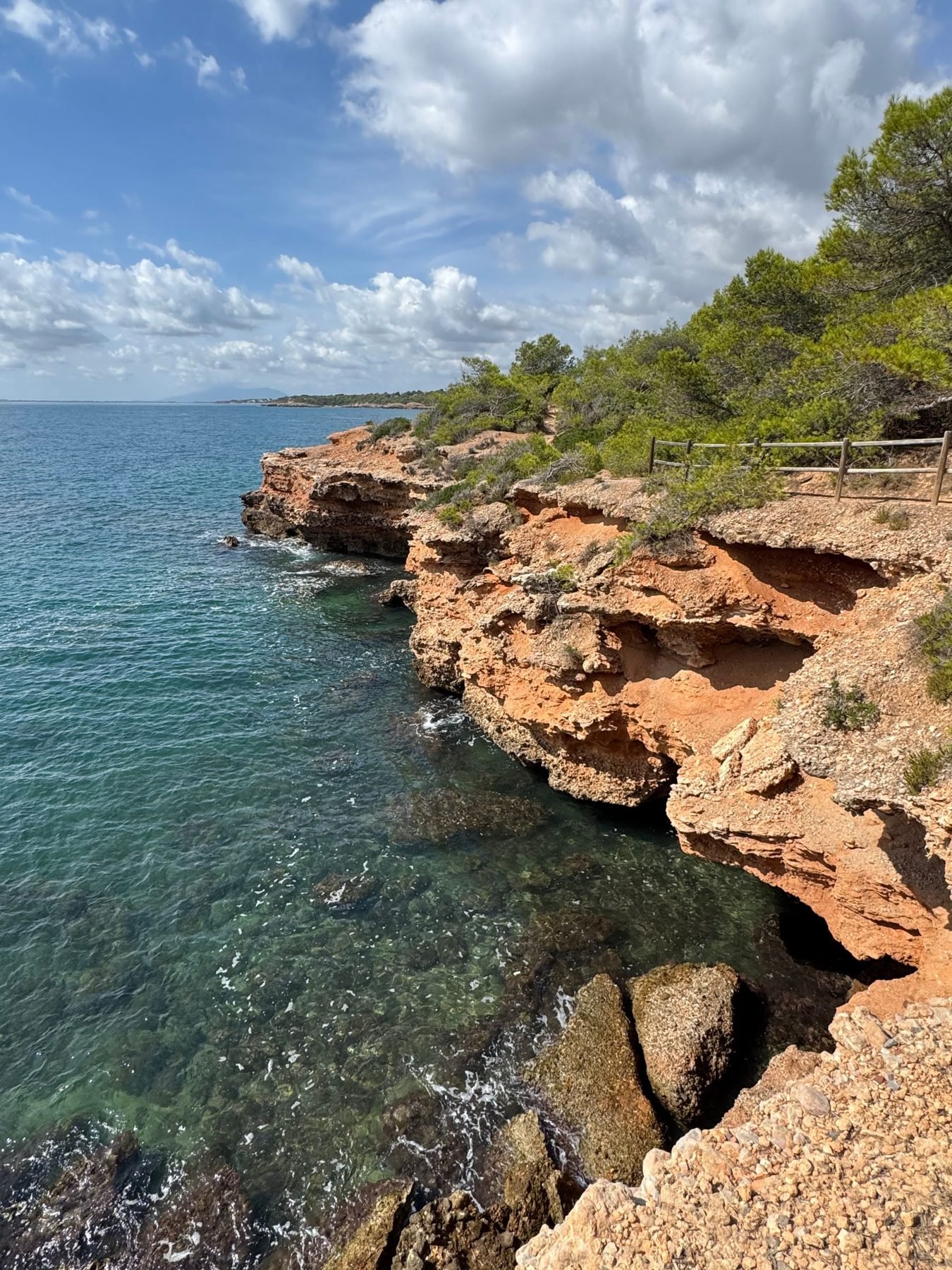 La costa rocosa